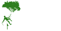 Tree Surgery Amersham from Majestic Tree Care Ltd Logo